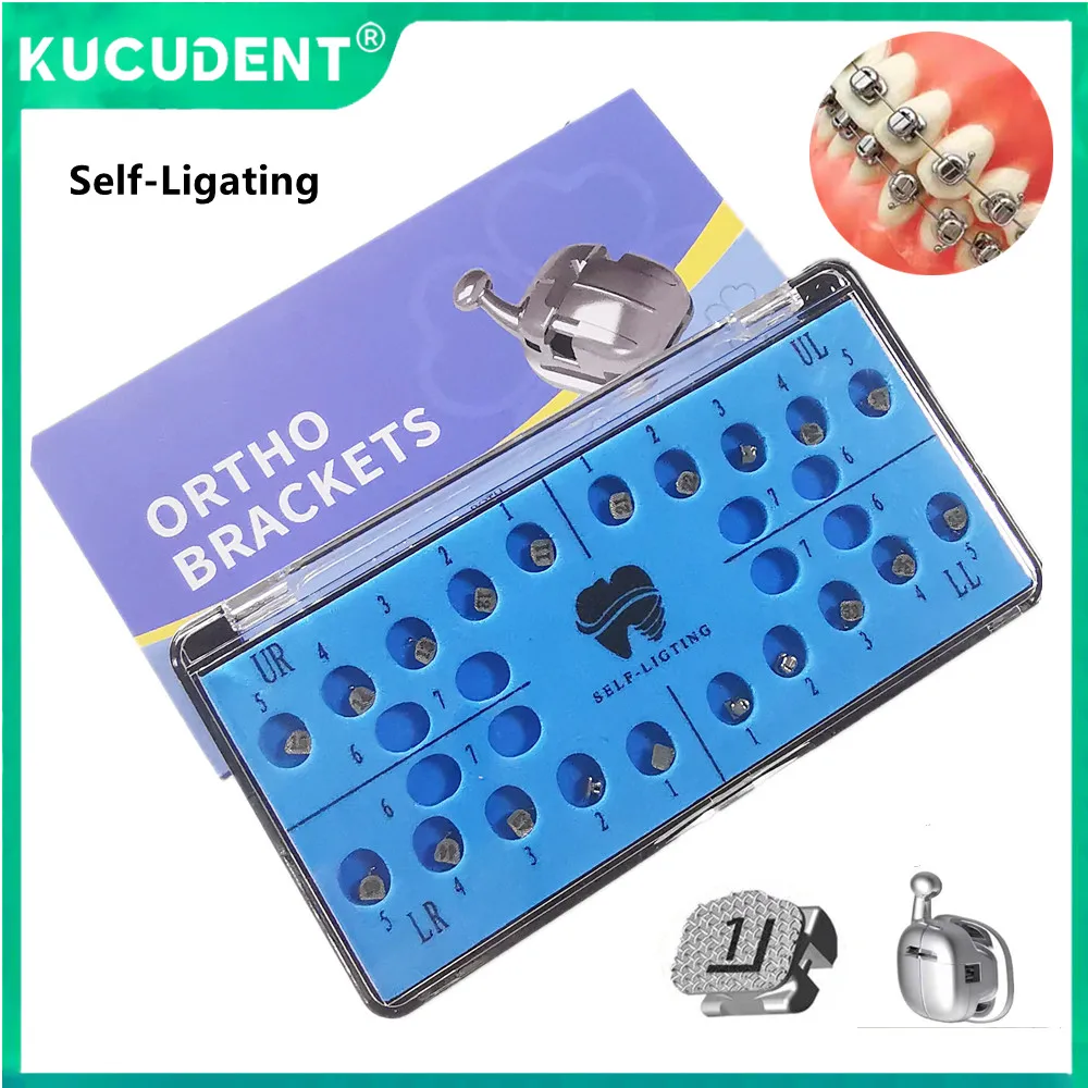 Dental Orthodontic …