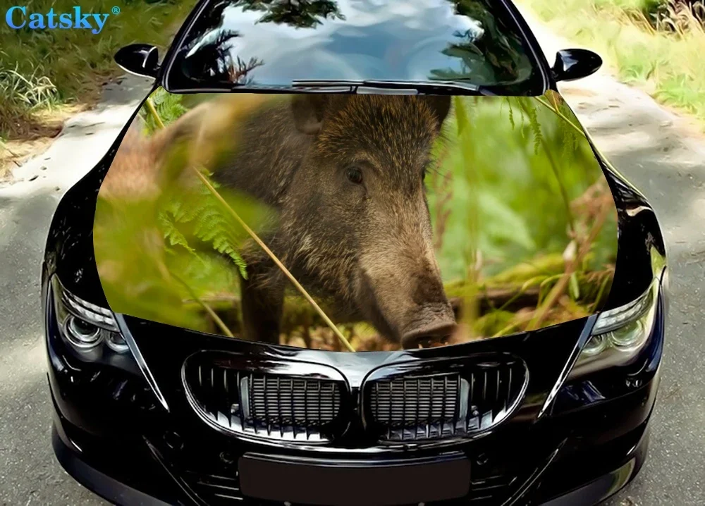 

wild boar Car stickers engine hood stickers auto parts custom pattern packaging modified painting vinyl car stickers