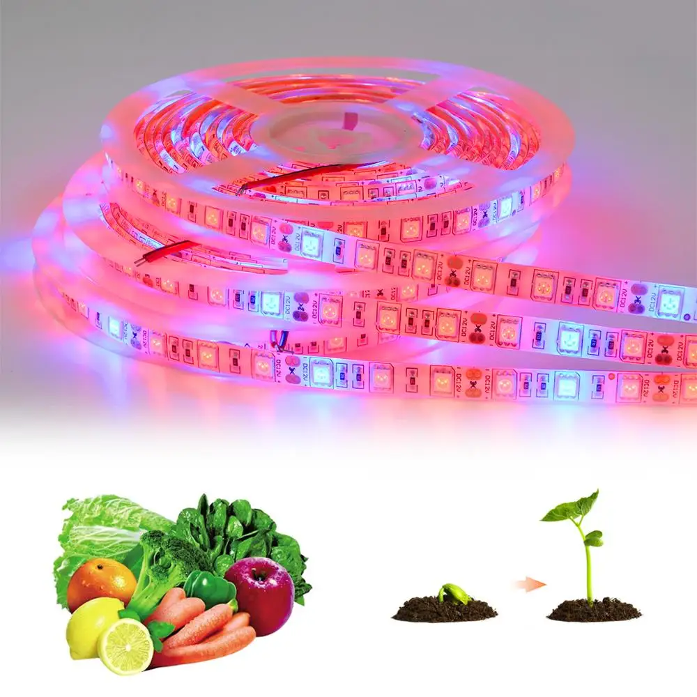 5M LED Fitolamps Full Spectrum LED Grow Light Strips 12V Lampa fito Fitolamp Dla Roślin Kwiaty Nasiona Warzyw Sadzonka Lampa