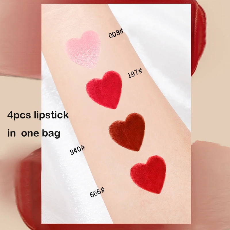 4 Color Bag Lipstick Moisturizing Matte Lip Stick Lip Balm Matte Lipstick Set for Women Long Lasting labiales mate 24 horas