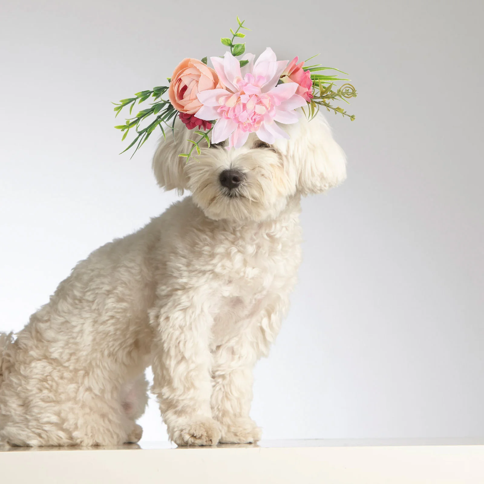 Pet Wreath Dog Headwear Decorations Chest Flower Convenient Accessories European and American Style