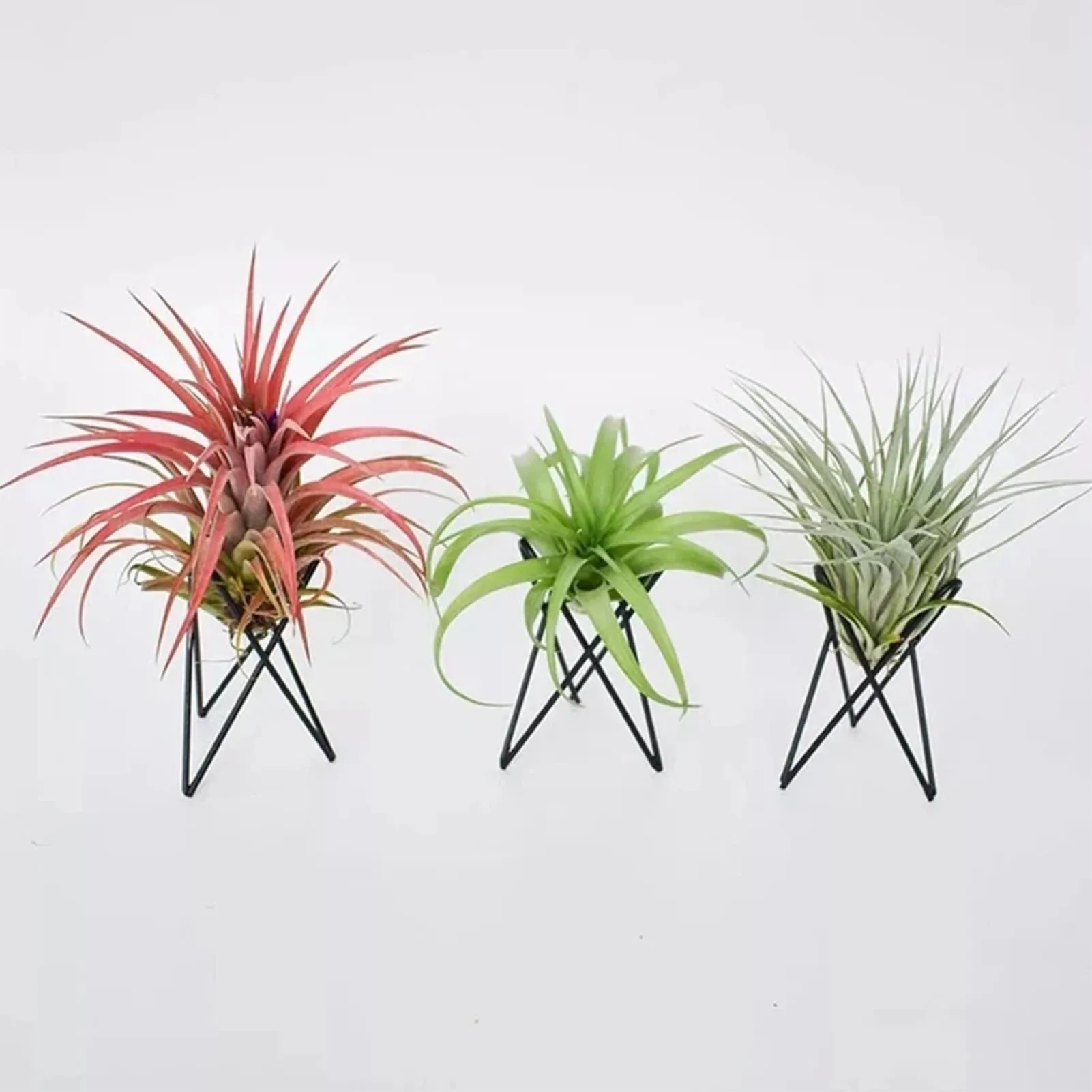 Geometric Airplant Holders Elegant Desktop Air Plant Container for Family Friend Neighbor Gift