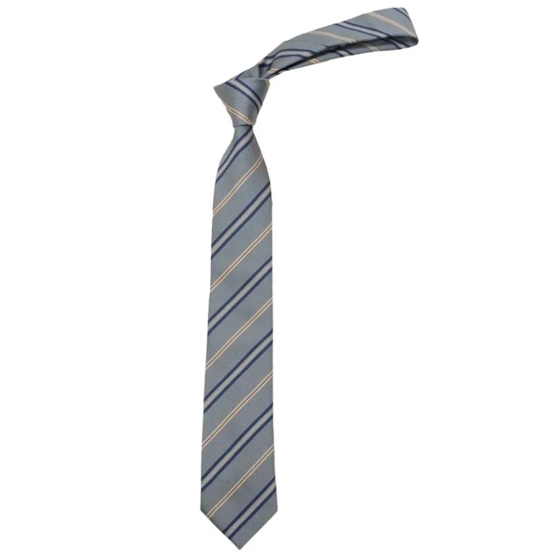 

Gray Striped Pre-Tied Neck Tie School Uniform Adjustable Necktie Student Bowtie