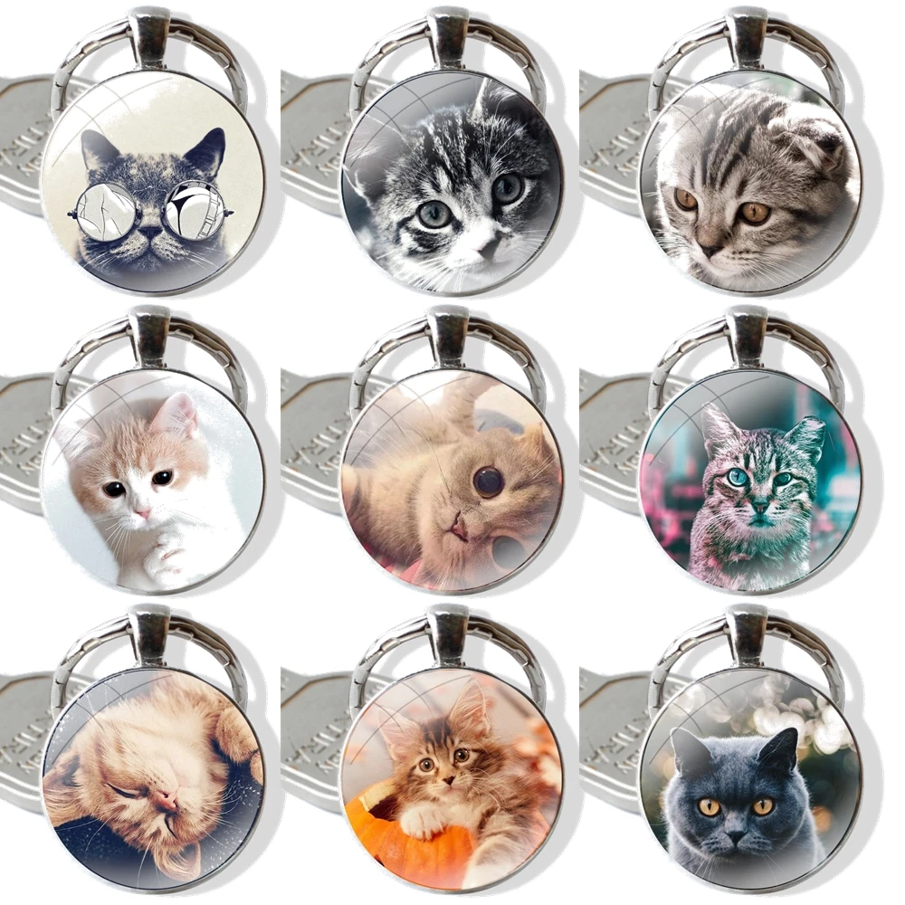 Cat Cute Cats Dog Glass Metal Pendant Key Chain Classic Men Women Key Ring Accessories Jewelry Gifts