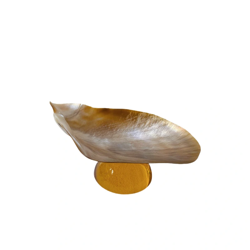 Shell Glass Tray, Dessert Dish Plate, INS Style Home Decor, Boutique Display Stand, Jewelry   Organizer, Creative Tableware