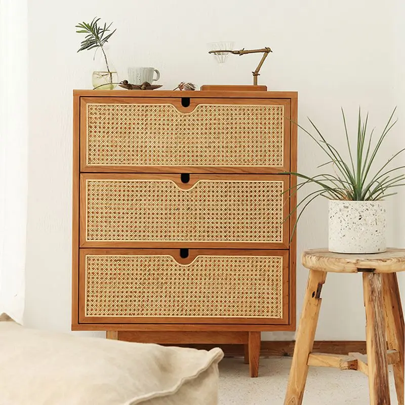 

Organizer Furniture Cabinet Wood Storage Rooms Cube Rack Organizers Stand Toiletries Designer Nordic Rattan Luxury Cajoneras