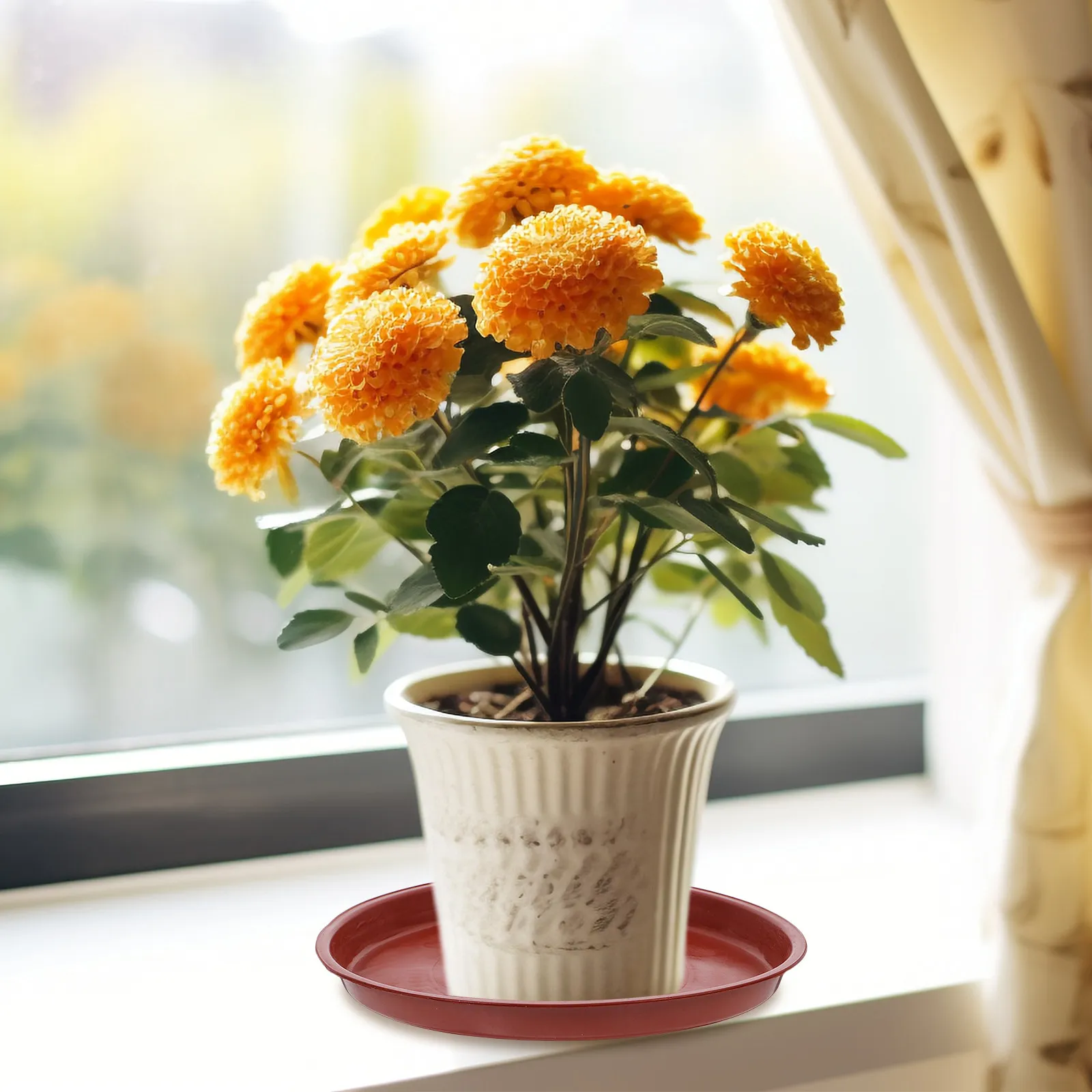 

20 шт. пластиковых поддонов для цветочных горшков, круглые, 200 мм, красные, для садовых и комнатных растений, бонсай, суккулентов, поддон для сбора капель, аксессуар для кашпо