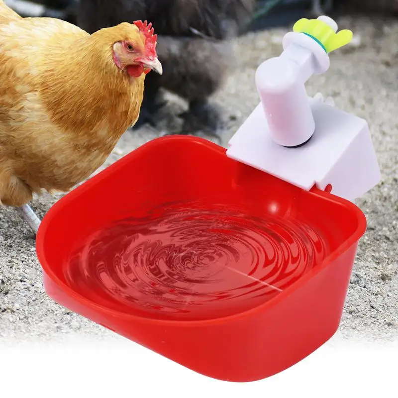 5 قطعة التلقائي الدجاج بطة وعاء للشرب أوزة بطة الدجاج شرب كوب سقي مزرعة تركيا السمان الدواجن أطباق مياه الشرب #4