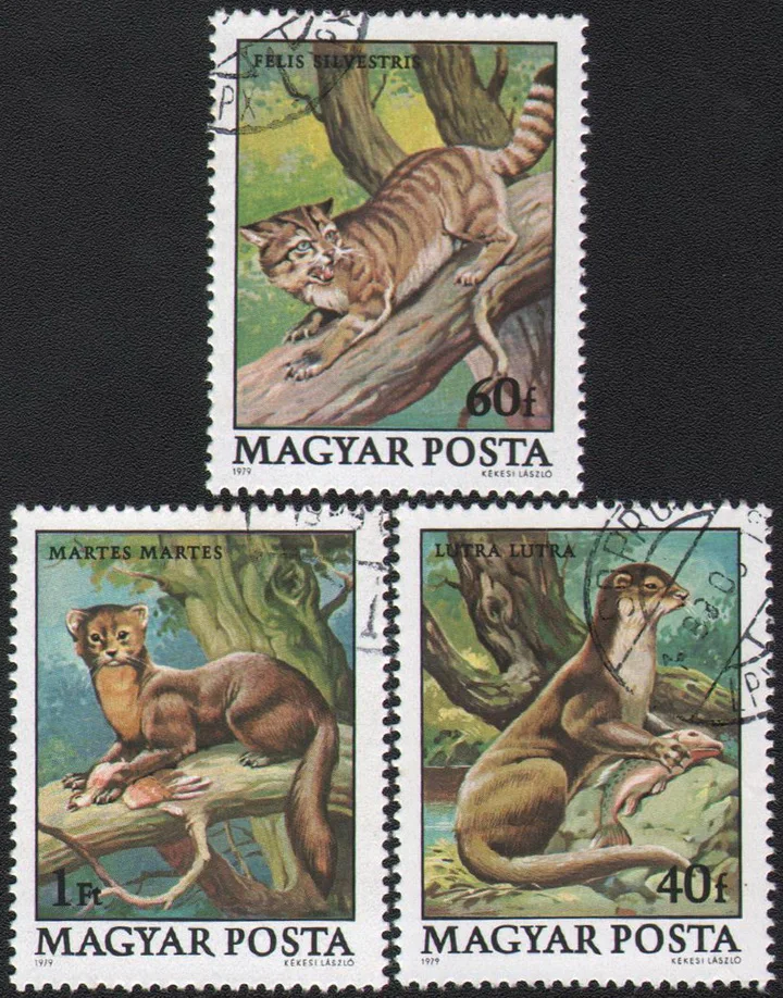 3Pcs/Set Hungary Post Stamps 1979 Wild Cat Otter  Marked Postage Stamps for Collecting