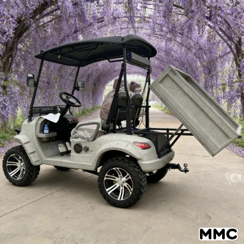 بيع المصنع مباشرة من MMC: عربة جولف ذات بطارية ليثيوم منخفضة السرعة بمقعدين #3