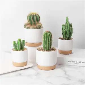 Diri Penyiraman Pot Bunga Otomatis Penyerapan Air Penyimpanan Bulat Double-Layer Succulent Planter Pot Kecil Tanaman Hijau Pot Bunga 10 pot succulents penjualan terbaik - №