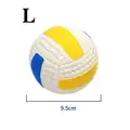 Volleyball-L