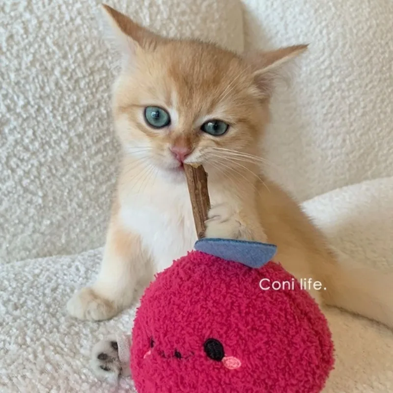 Cute Cat Teeth Grinding Toy Polygonum Wood Self-hi To Relieve Boredom Pet Supplies Bite-resistant Cat Stick