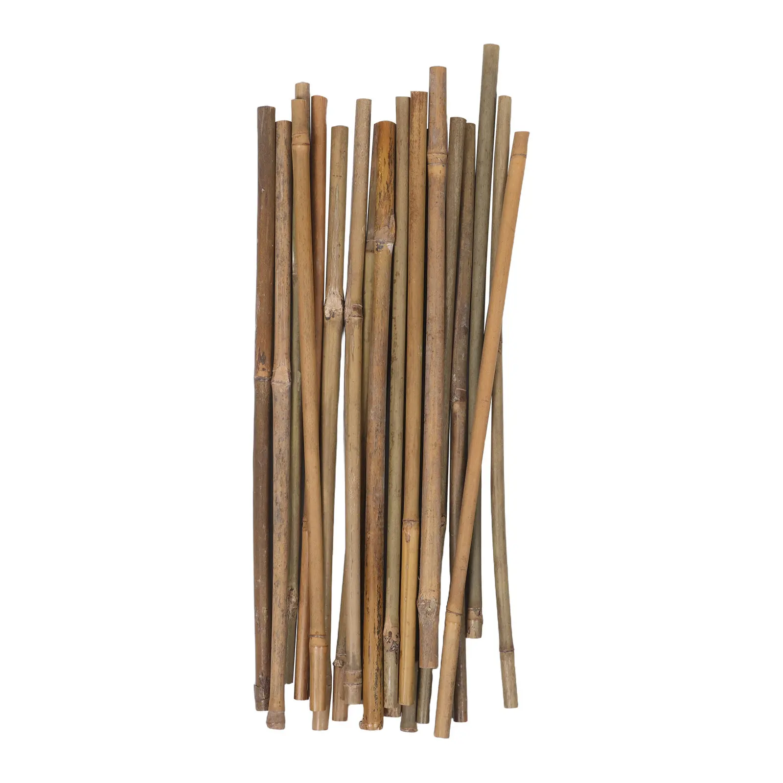 20Pcs Bamboo Plant Support Stakes Robust Climbing Garden Poles for Tomatoes Vegetables Beans Potted Plants Outdoor Gardening