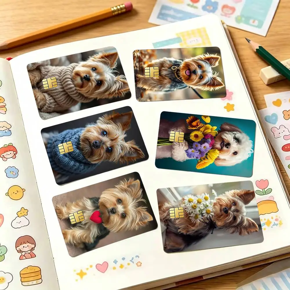 Yorkshire T-Terrier D-Dog Credit Card HD Stickers Game Card Decal Small Chip Waterproof Sticker Gift