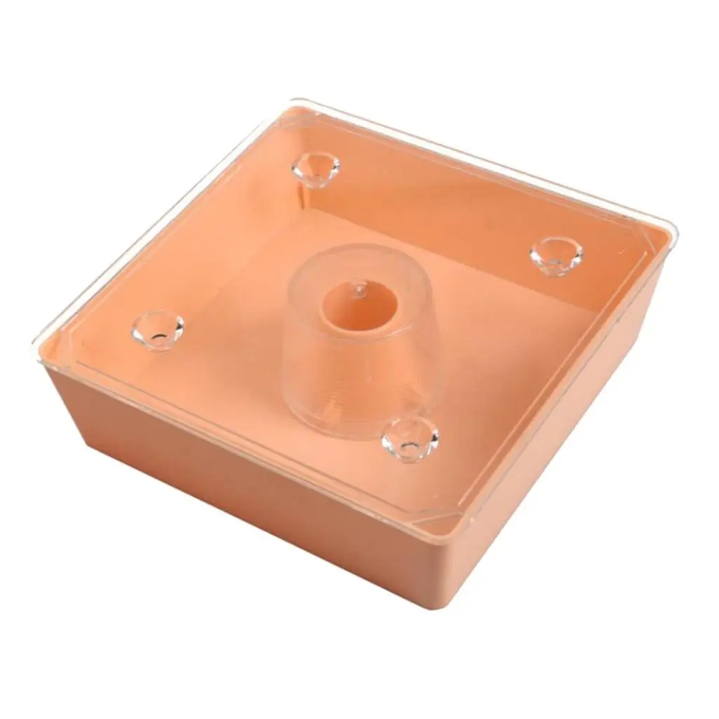 Square Bee Feeder Plastic Waterproof Cover Beekeeping Equipment for Honey Bee Hive Spring Build Up