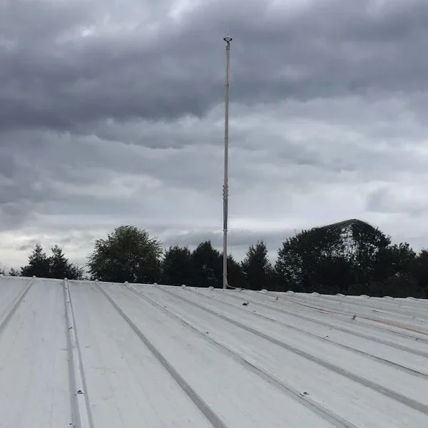 ESE Rod Arrester Surge Protection House Lightning Rod Lightning Rod Harga Turki