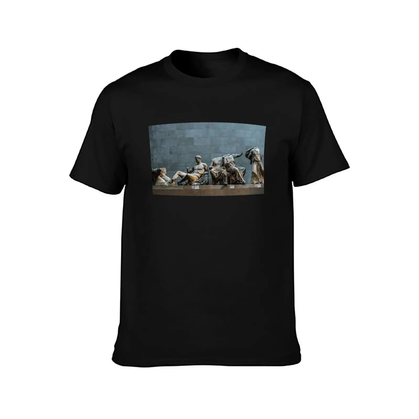 Stolen Elgin Marbles from Greece T-Shirt Fitness Quick Dry Short Sleeve Top T-Shirt
