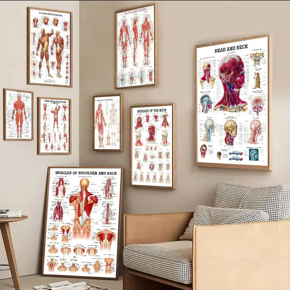 

Anatomy The Neck Muscles Head Face Muscles Overview Art Classic Posters Quality Wall Art Retro Posters For Home Room Wall Decor