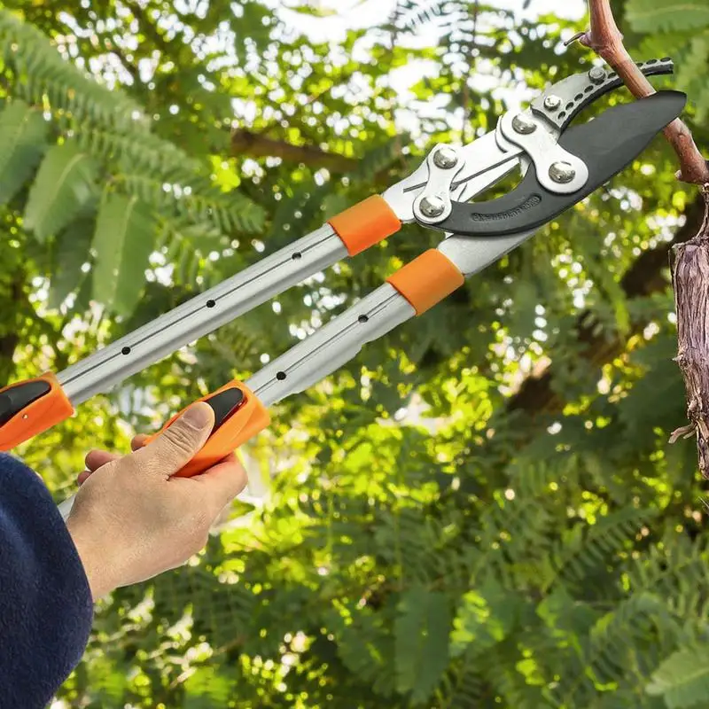 

Branch Trimmer Loppers For Gardening Heavy Duty Tools With Long Handle Anti-Slip Pruner For Trimming Vines Shrubs Hedges Bonsai