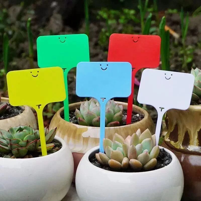 

30/50/100pcs Garden Plant Labels Markers Reusable Nursery Hang Tag Plastic Identification Card Waterproof Ring Sign Veg Tool