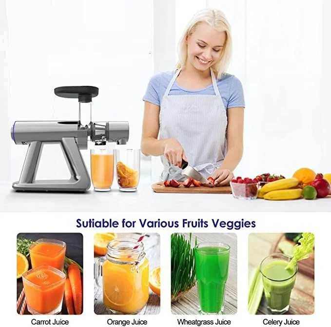 Honghao Ready Goods Horizontal 120V Cold Press Slow Juicer Extractor Easy to Clean Quiet Motor Reverse Function BPA-Free Juicer