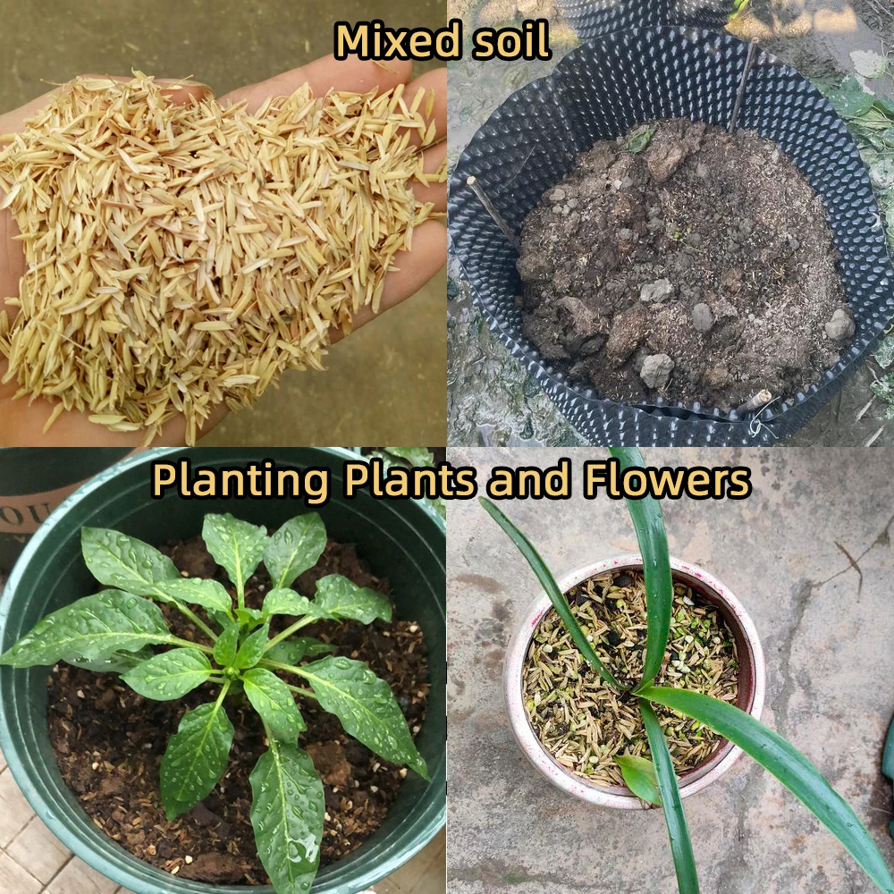70g 건조 쌀겨 천연 재료로 구성된 심기용 흙은 흙이 - Aquarium Plant Nutrients 리뷰 및 가격