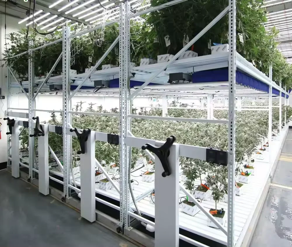 

NEW BETC-B2 Grow Tent Environmental Temperature Humidity and Timer Irrigation Controller Ph EC Controller