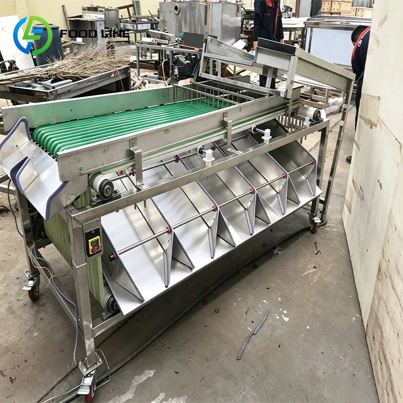 Fruit Grading Machine Diameter Sorter Fruit Sorting Machine for Apple Orange Pear Tomato Onion Customized