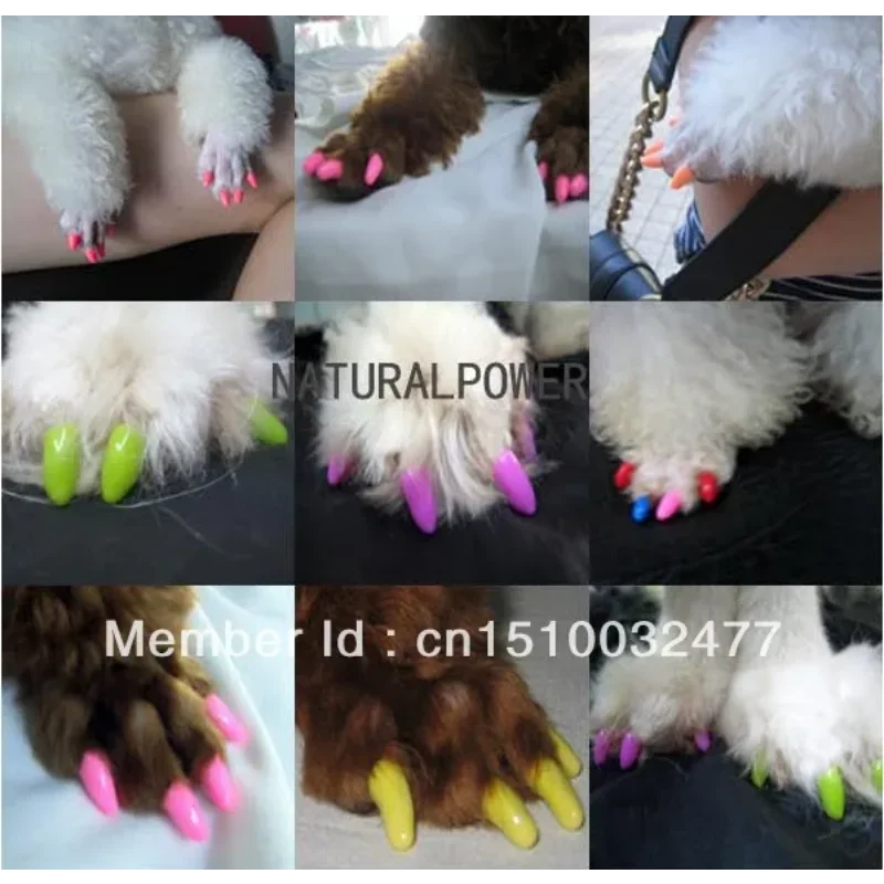 Lots 100pcs 14 Colors Soft Cat Pet Nail Caps Claw Control Paws off + 5pcs Adhesive Glue  Size XS S M L Free Shipping