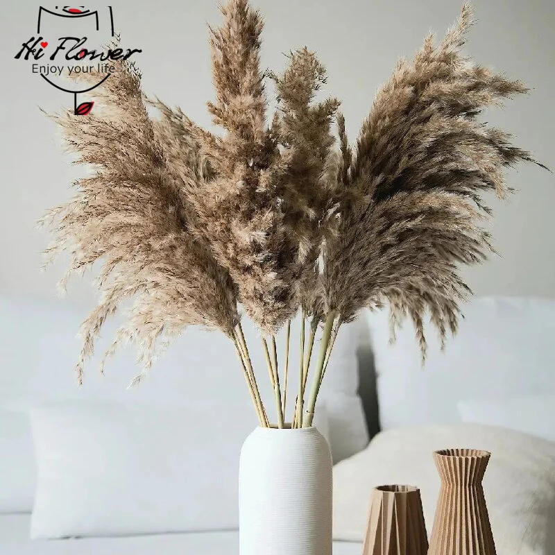 30 pçs flores secas natureza fofo pampas grama para festa de casamento decoração coelho cauda de coelho canas flores artificiais decoração de casa