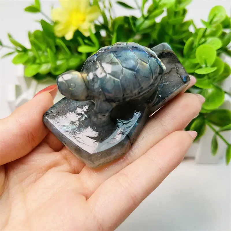 Natural Freeform Labradorite Tortoise Carving Statues Crystal Animal Cute Carving Figurine For Christmas Gift 1pcs image 2