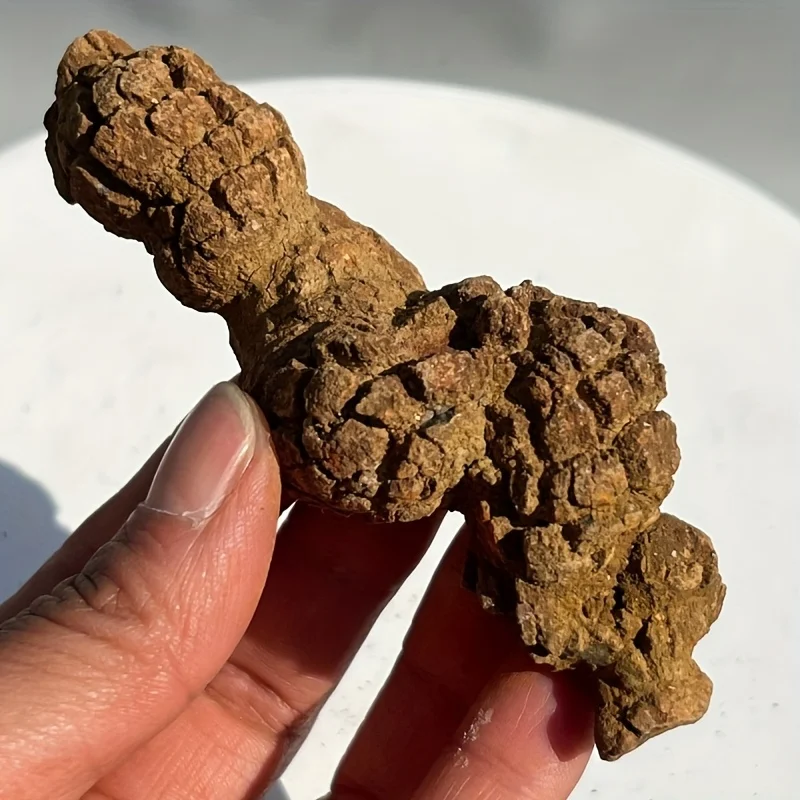 Realistic Dinosaur Fossil Collectibles - Prehistoric Fossil Dung Stones, Synthetic Dinosaur Dung Replicas with Skeletal Texture,