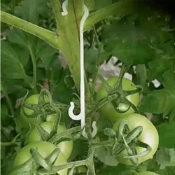 9.5/13/16CM Tomato Support J Hooks Plant Support Vegetable Clips To Prevent Tomatoes Fruit Cluster From Pinching or Falling Off