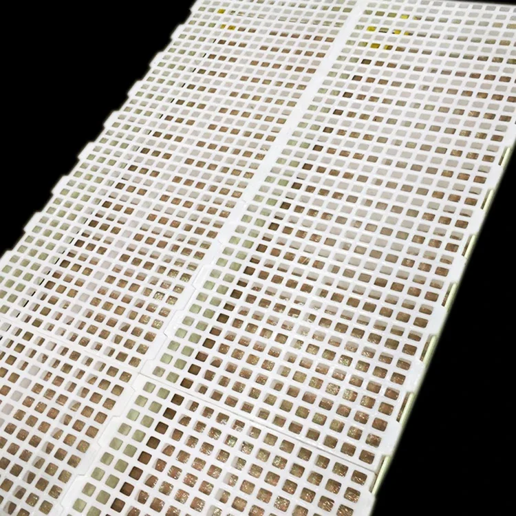 

Customized chicken / broiler / poultry farm plastic slat flooring