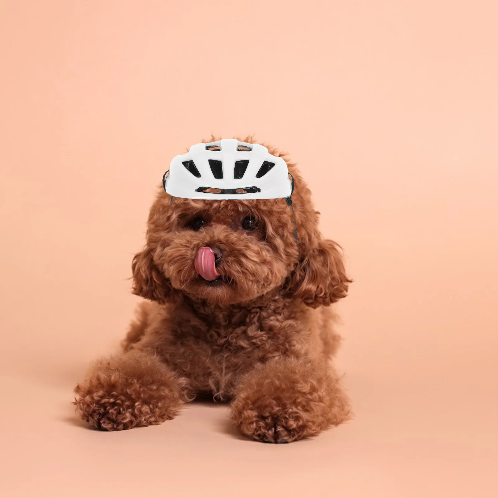 

Adjustable Pet for Small Medium Large Dogs Outdoor Riding Safety Headgear Comfortable Stylish Design for Puppy Cat