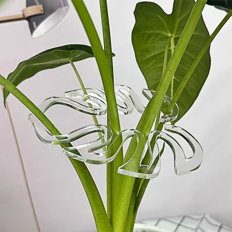 10Pcs Large Hanging Plant Stand, Iron Hooks, Suitable for Flowerpot Decoration, Indoor and Outdoor Use