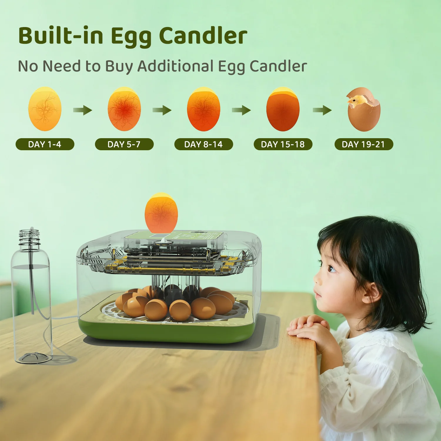 حاضنة بسعة 12 بيضة مع تحول البيض الأوتوماتيكي والتحكم في درجة الحرارة والرطوبة والتصوير بالكامل.