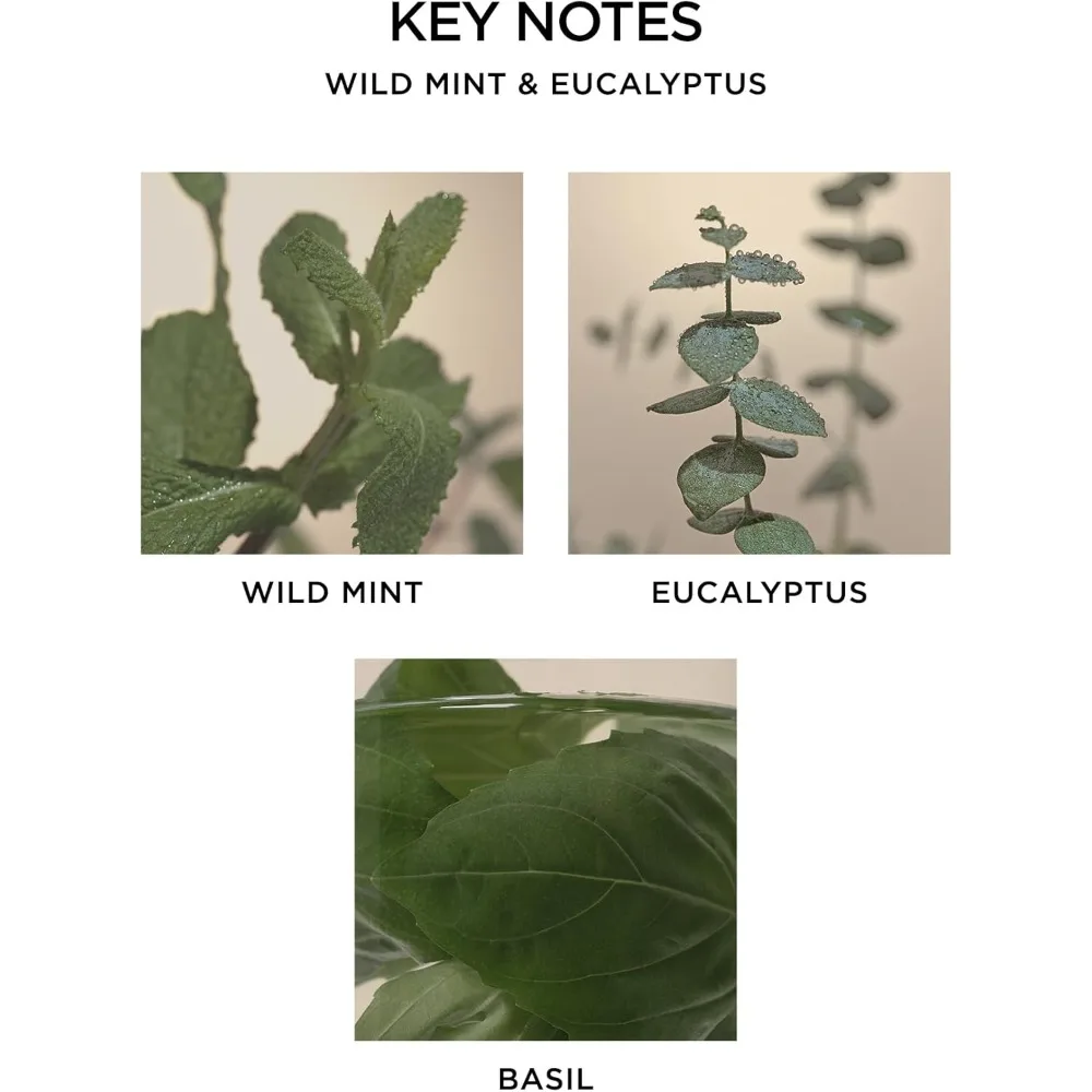 شمعة معطرة بثلاث فتحات مع رائحة النعناع البري والأوكالبتوس، 21.2 أونصة، وقت حرق 100 ساعة، حاوية زجاجية قابلة لإعادة الاستخدام #4
