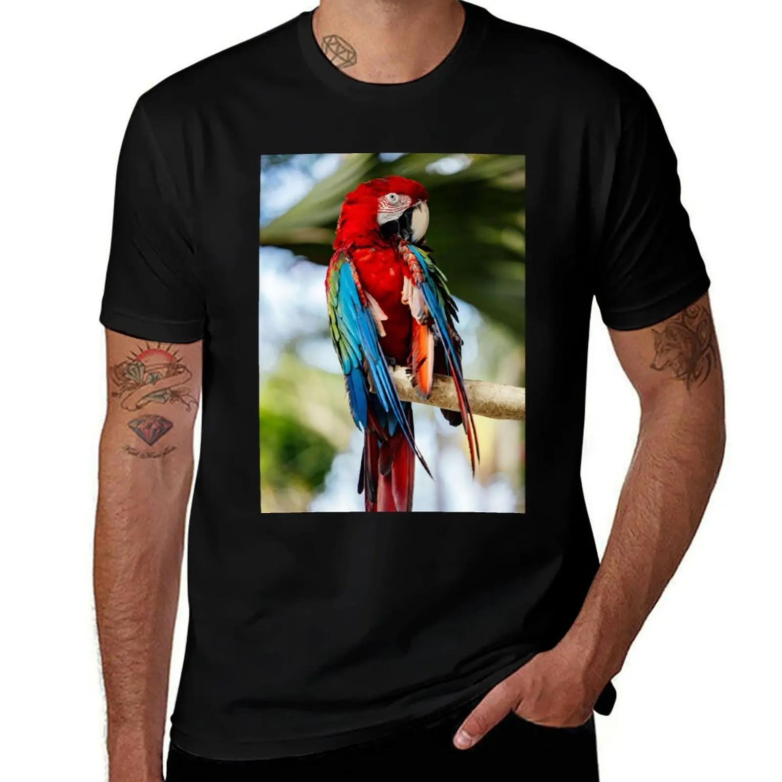

Parrot T-Shirt summer 2025 oversize t-shirts man summer clothes graphic t shirt vintage heavy weight t shirts for men