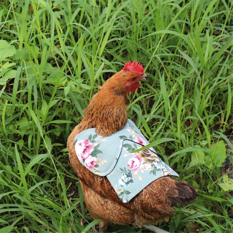 Chicken Saddle Hen Apron with Quilted Lining Elastic Straps for Hens Poultry Drop Shipping