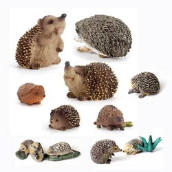 Realistico plastica giungla foresta Zoo animali riccio modelli di giocattoli figure, Cake Topper bomboniere collezione regalo decorazioni per la casa