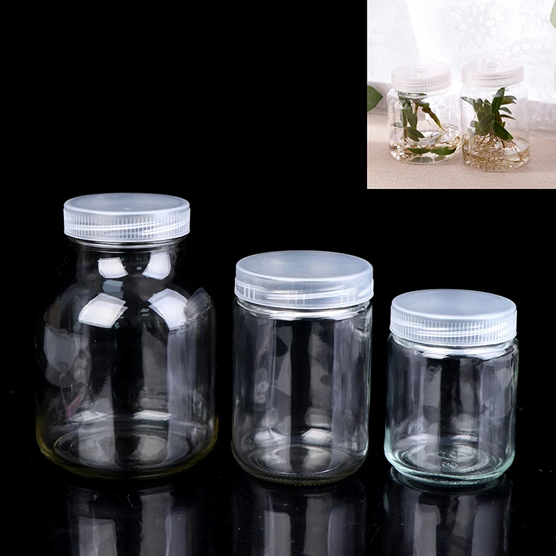 New【1PC 240ml Plants Glass Jars For Bottle Seedling Tissue Culture High Temperature Resistance】