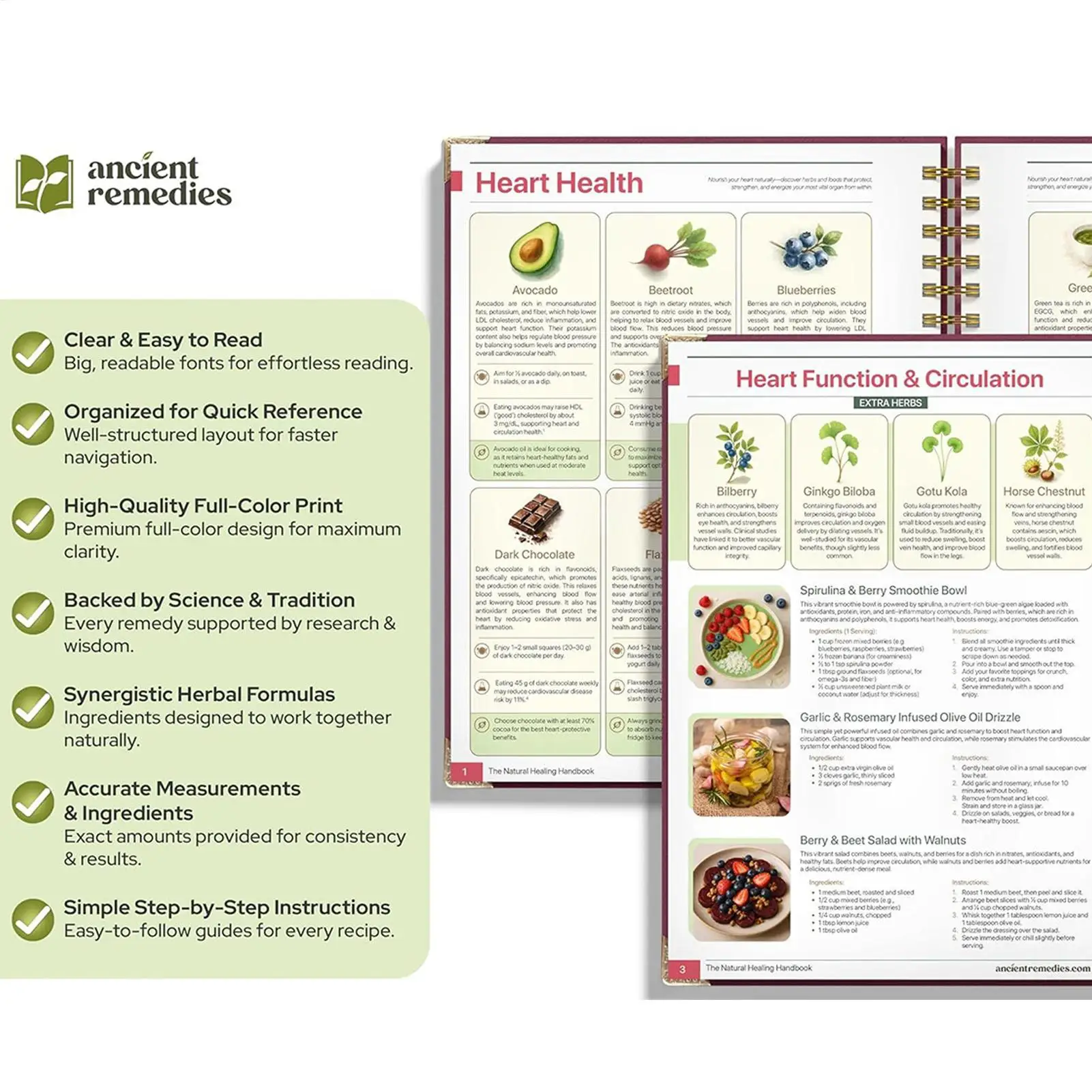 Libro guía de salud humana, tema de plantas, receta para comer, encuadernación en espiral, libro Natural para mujeres, hombres, familia, adultos, ancianos, estudio de Chef