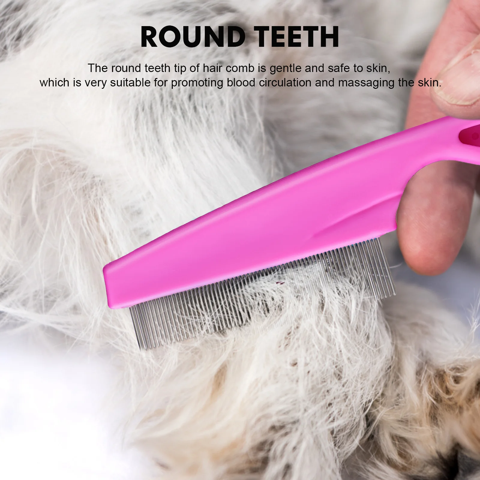 

6Pcs Dog Grooming Combs Stainless Steel Teeth Detangling Tool for Cats Small Dogs Smooth Handle Design