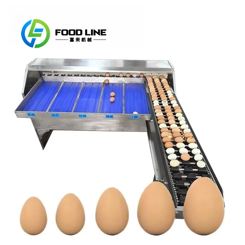Egg Grading Machine With Precision Weighing Sensor Equals Automatic Egg Grader For Continuous Farm Egg Sorting Production Line