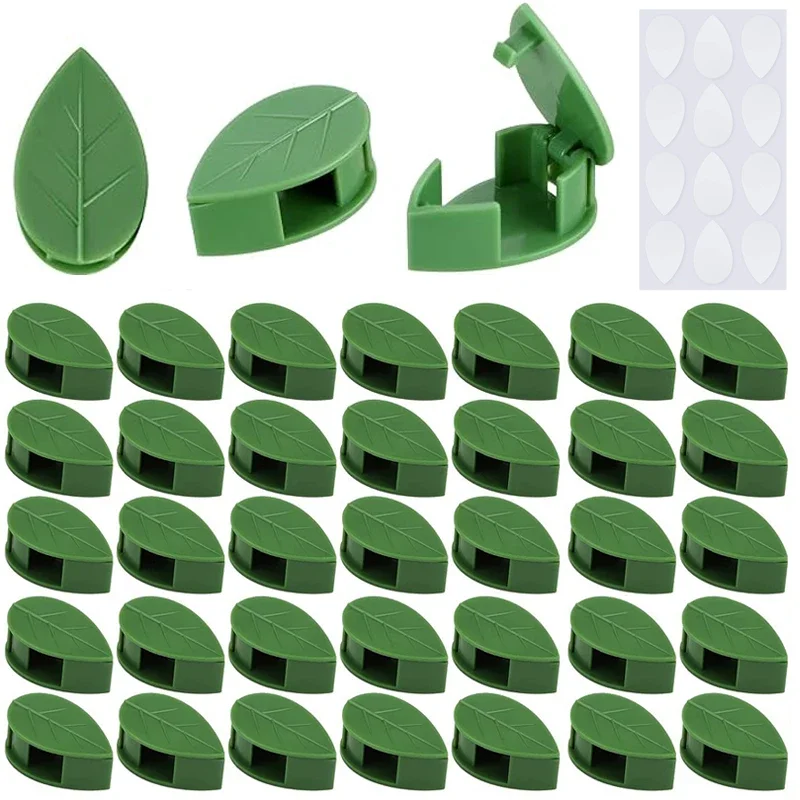 10-100x Clips de fixation murale invisibles pour plantes grimpantes, autocollants en acrylique, crochets auto-adhésifs, supports de traction pour plantes et vignes, intérieur et extérieur