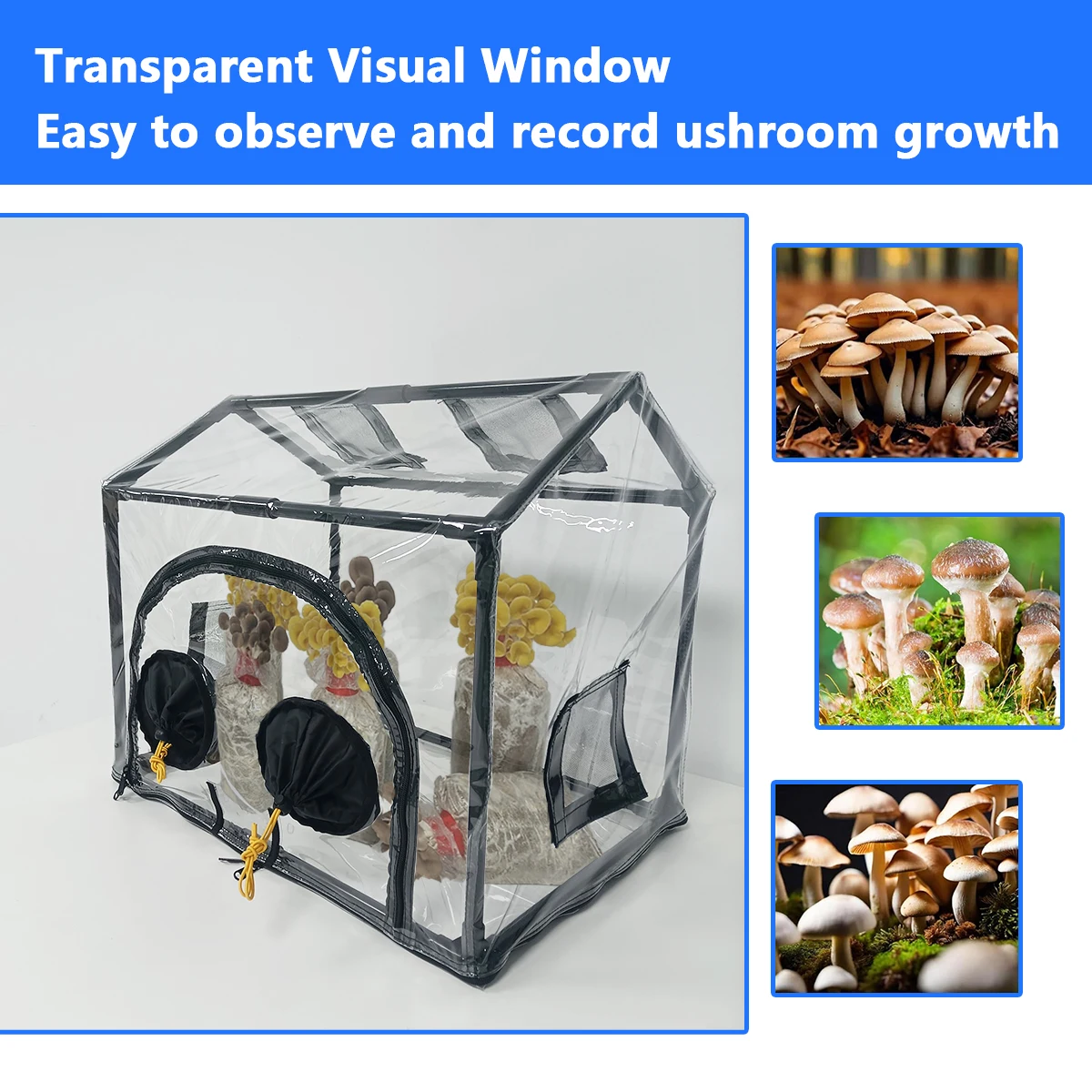 New House-Shaped Mushroom Growing Tent Kit - Still Air Box with Minimalist Zipper, 4 Mosquito-Proof Vents & Balcony Use view 2