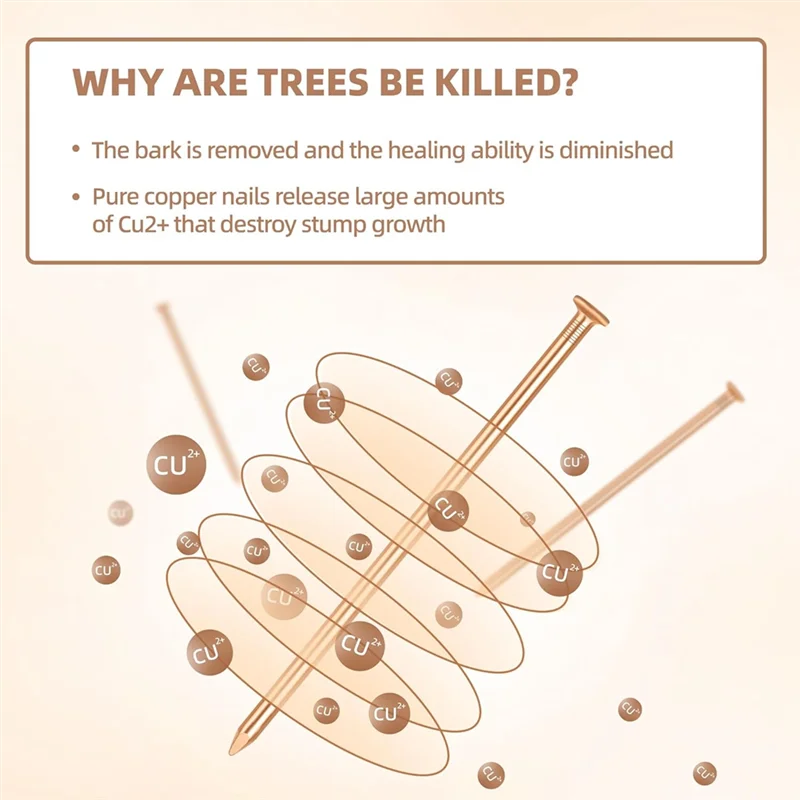 A59E-25Pcs clous en cuivre pour souches d'arbre 3.14 pouces de Long clous en cuivre pur en vrac avec foret pour enlever les clous de souches pour arbre