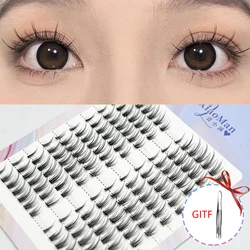 Fish Tail Cluster A/M Shape Spikes Plus Eyelash Mix Heat Bonded Extension Lashes Individual Makeup Natural DIY Set custom Logo